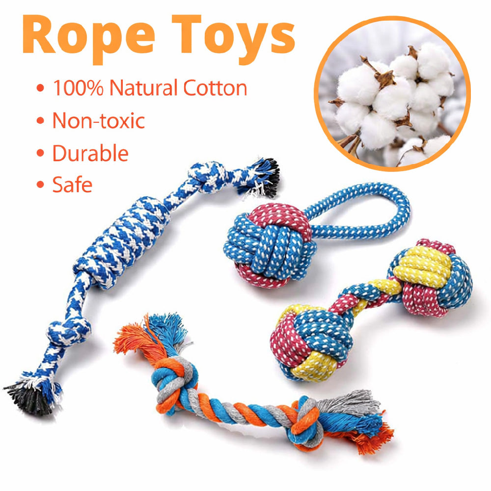 Teething Support – Soft textures help soothe sore gums, making it ideal for puppies during the teething stage.